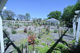 bad_langensalza_botanischer_garten_07_2017_15