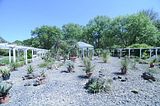 bad_langensalza_botanischer_garten_07_2017_16