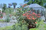 bad_langensalza_botanischer_garten_07_2017_18