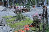 bad_langensalza_botanischer_garten_07_2017_19