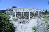 bad_langensalza_botanischer_garten_07_2017_20