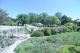 bad_langensalza_botanischer_garten_07_2017_21