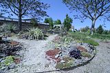 bad_langensalza_botanischer_garten_07_2017_38