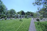 bad_langensalza_botanischer_garten_07_2017_41