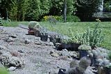 bad_langensalza_botanischer_garten_07_2017_43