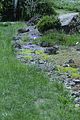 bad_langensalza_botanischer_garten_07_2017_52