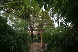 bad_langensalza_japanischer_garten_07_2017_003