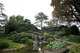 bad_langensalza_japanischer_garten_07_2017_011
