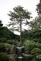 bad_langensalza_japanischer_garten_07_2017_012