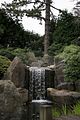 bad_langensalza_japanischer_garten_07_2017_013