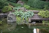 bad_langensalza_japanischer_garten_07_2017_018