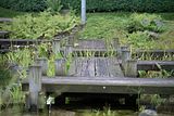 bad_langensalza_japanischer_garten_07_2017_019