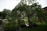 bad_langensalza_japanischer_garten_07_2017_022