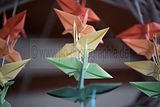 bad_langensalza_japanischer_garten_07_2017_027