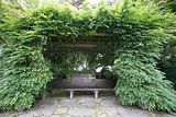 bad_langensalza_japanischer_garten_07_2017_055
