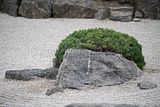bad_langensalza_japanischer_garten_07_2017_063