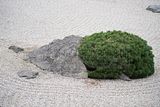 bad_langensalza_japanischer_garten_07_2017_065