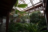 bad_langensalza_japanischer_garten_07_2017_074