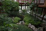 bad_langensalza_japanischer_garten_07_2017_077