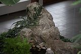 bad_langensalza_japanischer_garten_07_2017_079