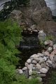 bad_langensalza_japanischer_garten_07_2017_080