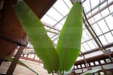 bad_langensalza_japanischer_garten_07_2017_089