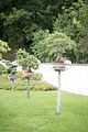 bad_langensalza_japanischer_garten_07_2017_093