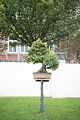 bad_langensalza_japanischer_garten_07_2017_096