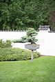 bad_langensalza_japanischer_garten_07_2017_097