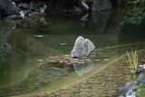 bad_langensalza_japanischer_garten_07_2017_100