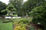 bad_langensalza_japanischer_garten_07_2017_102