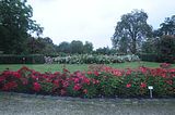 bad_langensalza_rosengarten_07_2017_005