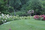 bad_langensalza_rosengarten_07_2017_014