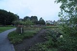bad_langensalza_rosengarten_07_2017_027