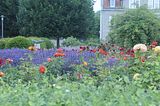 bad_langensalza_rosengarten_07_2017_029