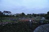 bad_langensalza_rosengarten_07_2017_035