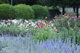 bad_langensalza_rosengarten_07_2017_038