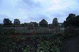 bad_langensalza_rosengarten_07_2017_044