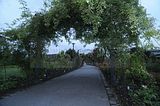 bad_langensalza_rosengarten_07_2017_045
