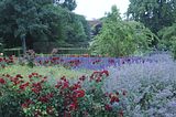 bad_langensalza_rosengarten_07_2017_046