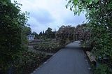 bad_langensalza_rosengarten_07_2017_058