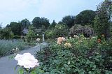 bad_langensalza_rosengarten_07_2017_066