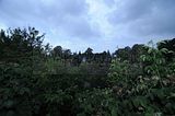bad_langensalza_rosengarten_07_2017_087