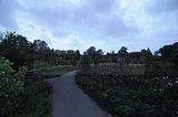 bad_langensalza_rosengarten_07_2017_088