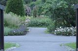 bad_langensalza_rosengarten_07_2017_105