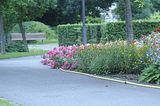 bad_langensalza_rosengarten_07_2017_112