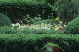 bad_langensalza_rosengarten_07_2017_116