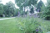 bad_langensalza_rosengarten_07_2017_119