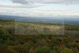 baumkronenpfad-herbst-106