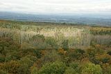 baumkronenpfad-herbst-107